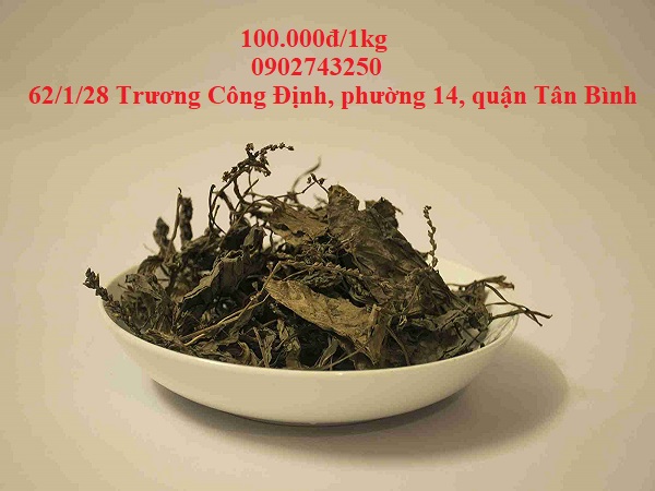 men gan cao uong cay ma de men gan cao uong cay ma de