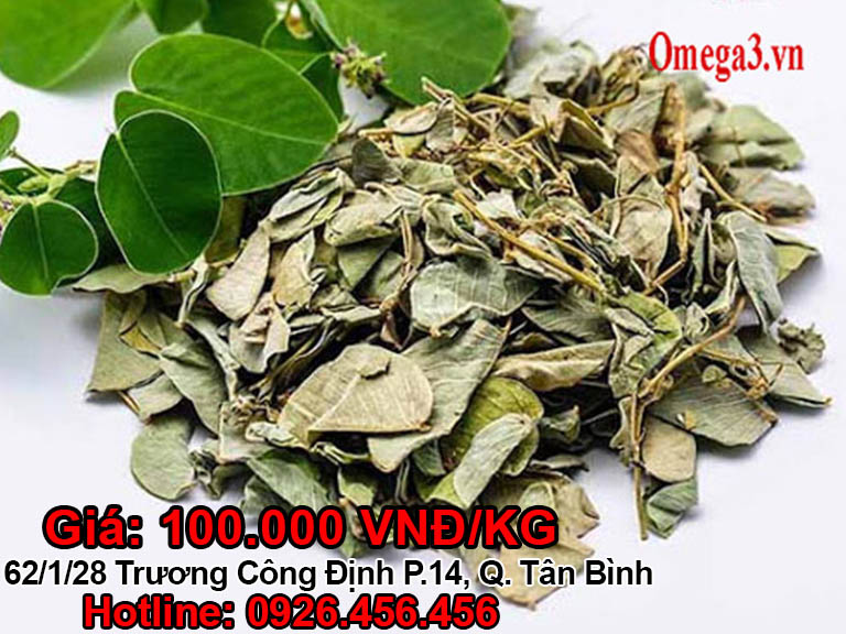 Vị thuốc kim tiền thảo