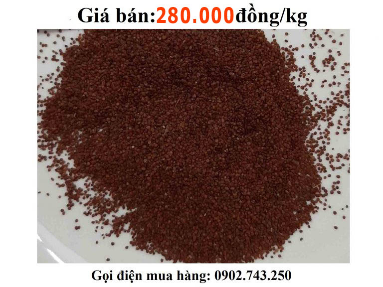 Hạt đình lịch Hạt đình lịch