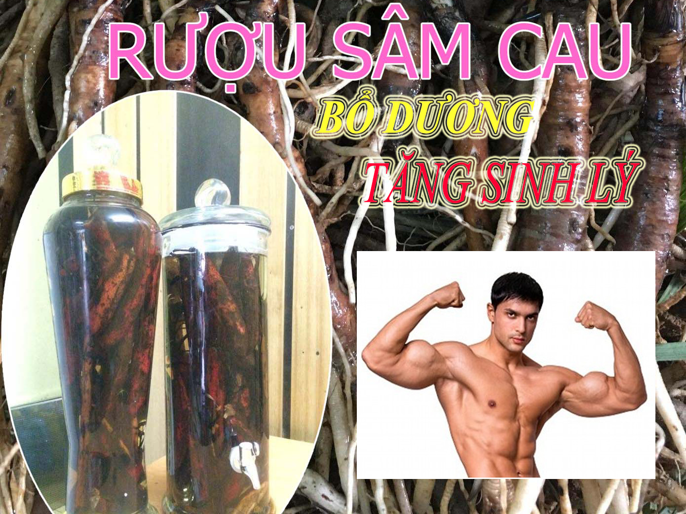 Rượu sâm cau có tác dụng gì cho nam giới?