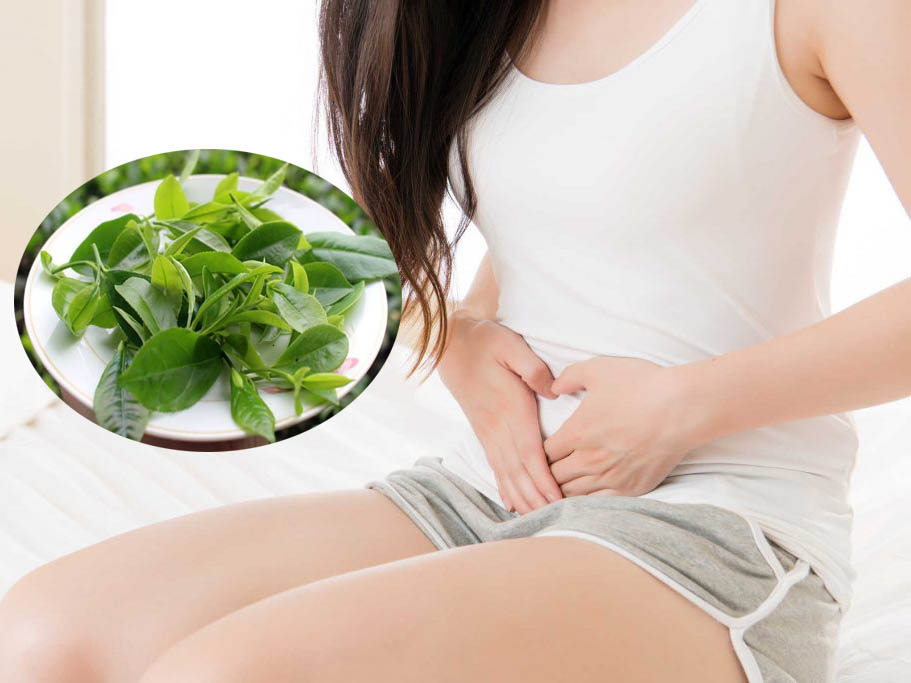 bài thuốc dân gian chữa viêm lộ tuyến bài thuốc dân gian chữa viêm lộ tuyến