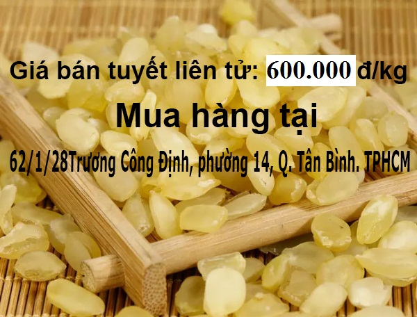 Mua tuyết liên tử uy tín chất lượng Mua tuyết liên tử uy tín chất lượng