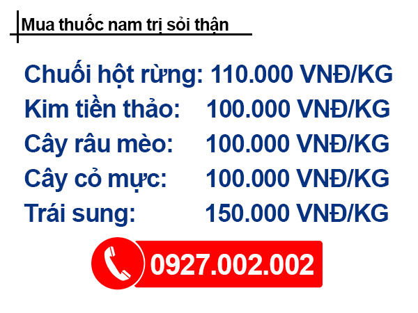 Thuốc nam trị sỏi thận