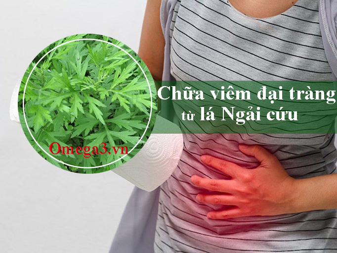 Chữa viêm đại tràng bằng lá ngải cứu