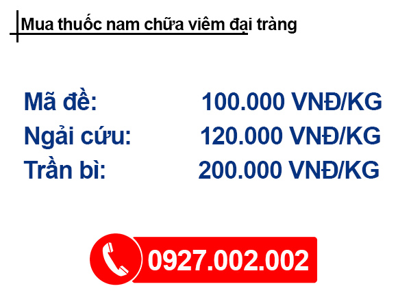 Thuốc nam chữa viêm đại tràng