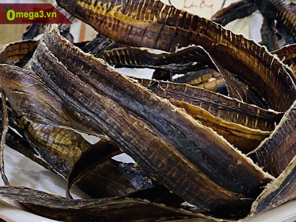 Giun đất làm thuốc Giun đất làm thuốc