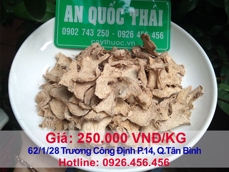 Gừng gió - Thần dược chữa bệnh xơ gan, ung thư gan hiệu quả