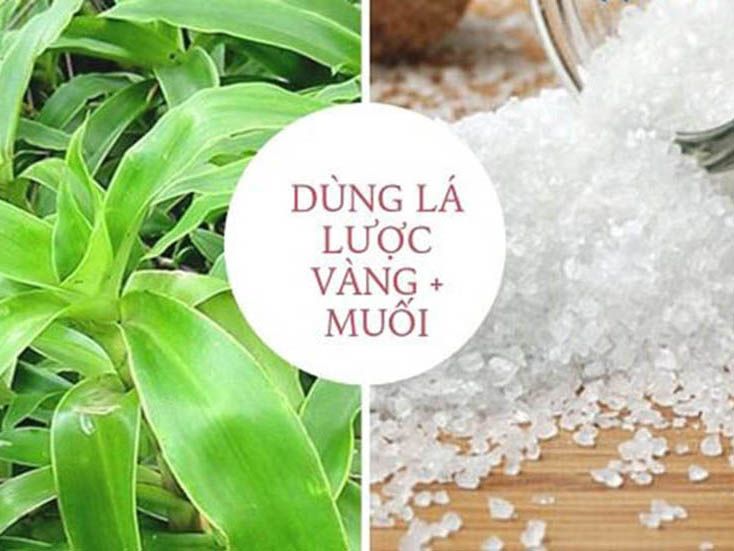 công dụng lá lược vàng