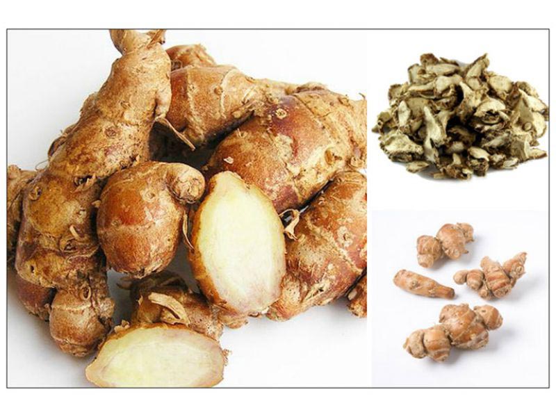 Địa liền Địa liền