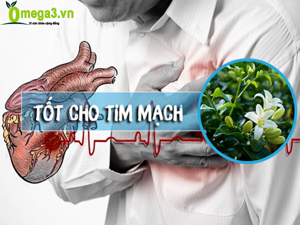 Công dụng lá nguyệt quế Công dụng lá nguyệt quế
