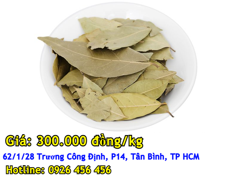 Lá nguyệt quế Lá nguyệt quế